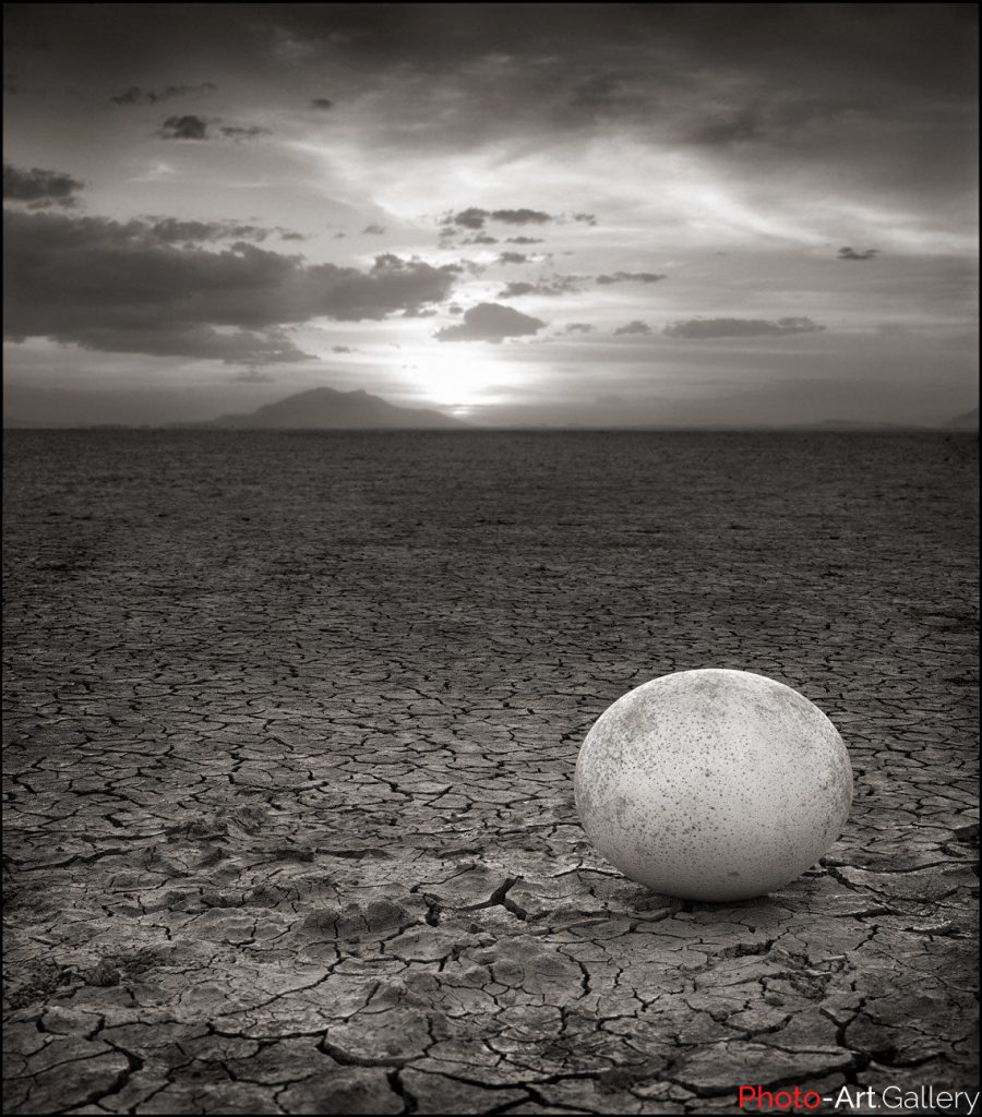 Nick Brandt