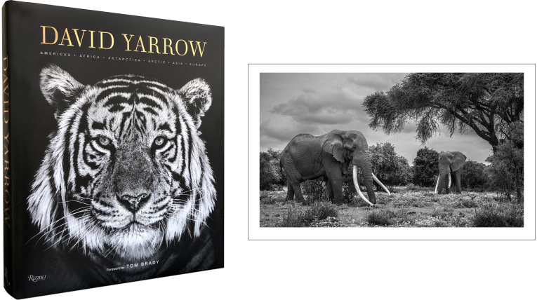David Yarrow