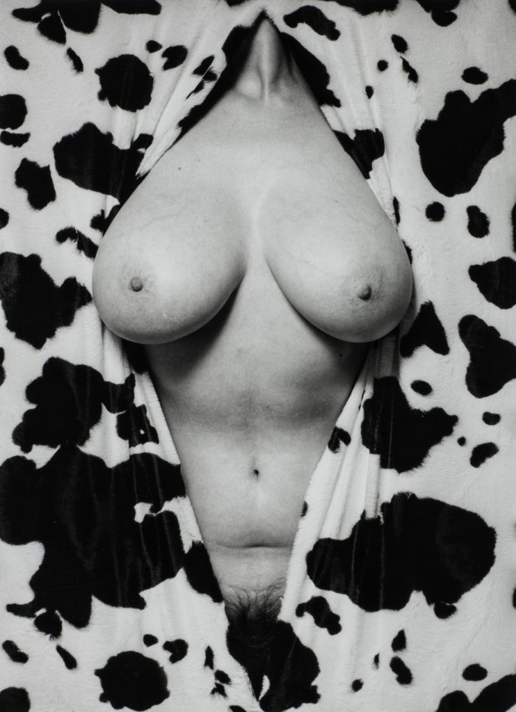 Erwin Olaf