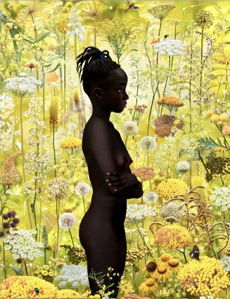 Ruud Van Empel