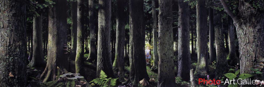 Ruud Van Empel