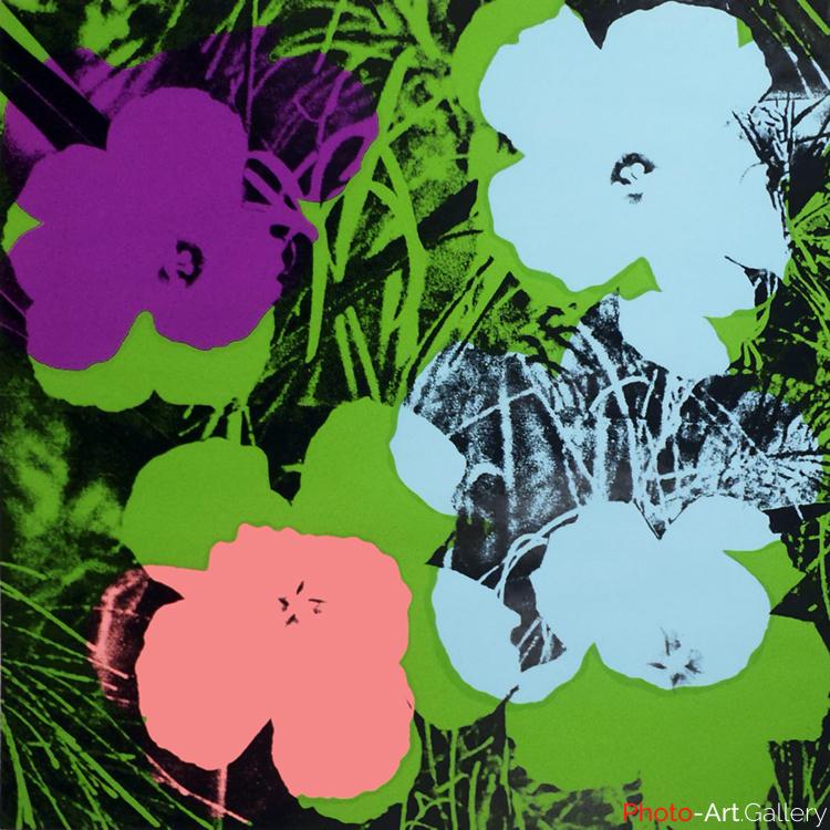 Andy Warhol - Serie Flowers 11.64