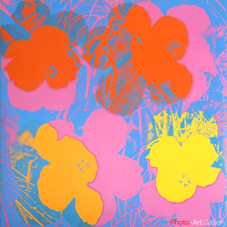Andy Warhol - Serie Flowers 11.66