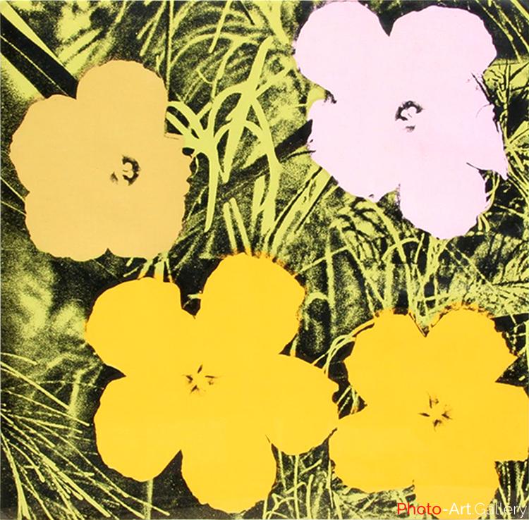 Andy Warhol - Serie Flowers 11.67