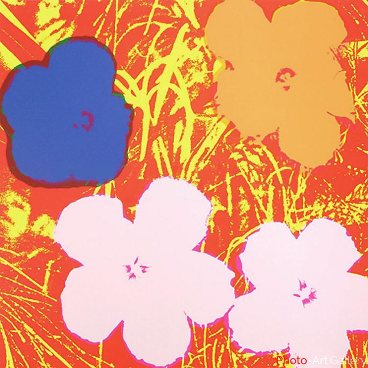 Andy Warhol - Serie Flowers 11.69