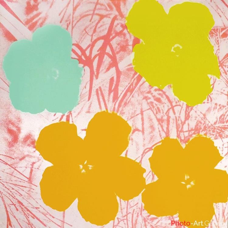 Andy Warhol - Serie Flowers 11.70