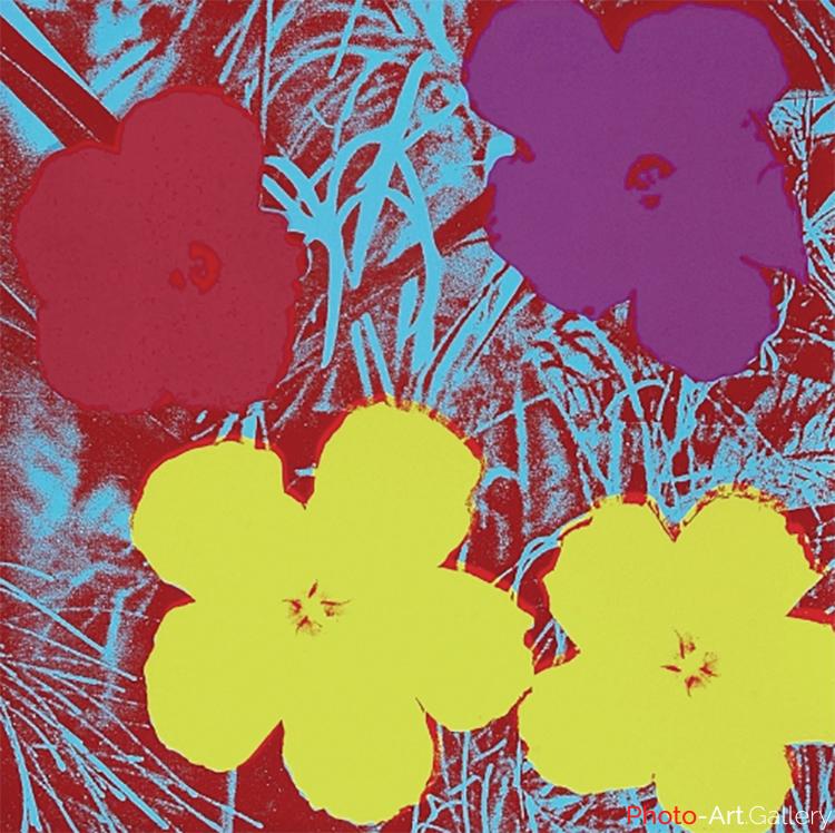 Andy Warhol - Serie Flowers 11.71