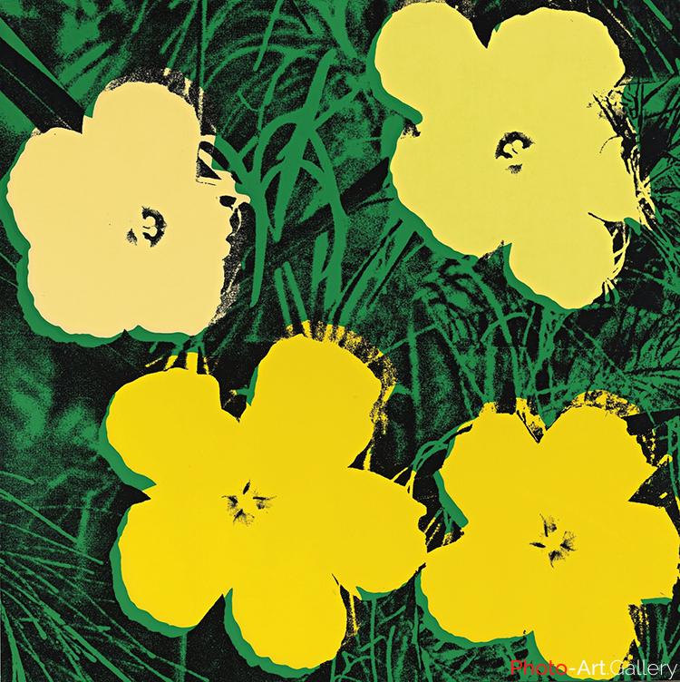 Andy Warhol - Serie Flowers 11.72