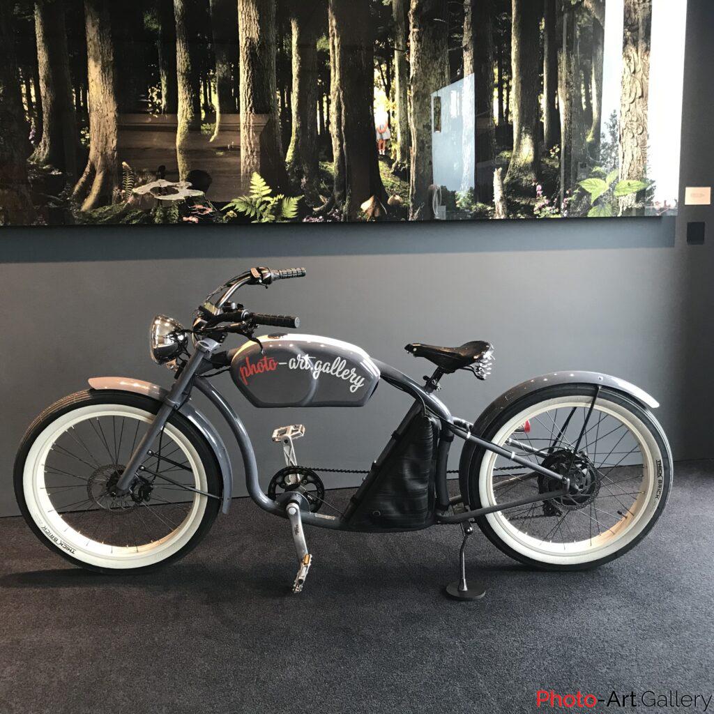 Vintage Electric  E -Tracker